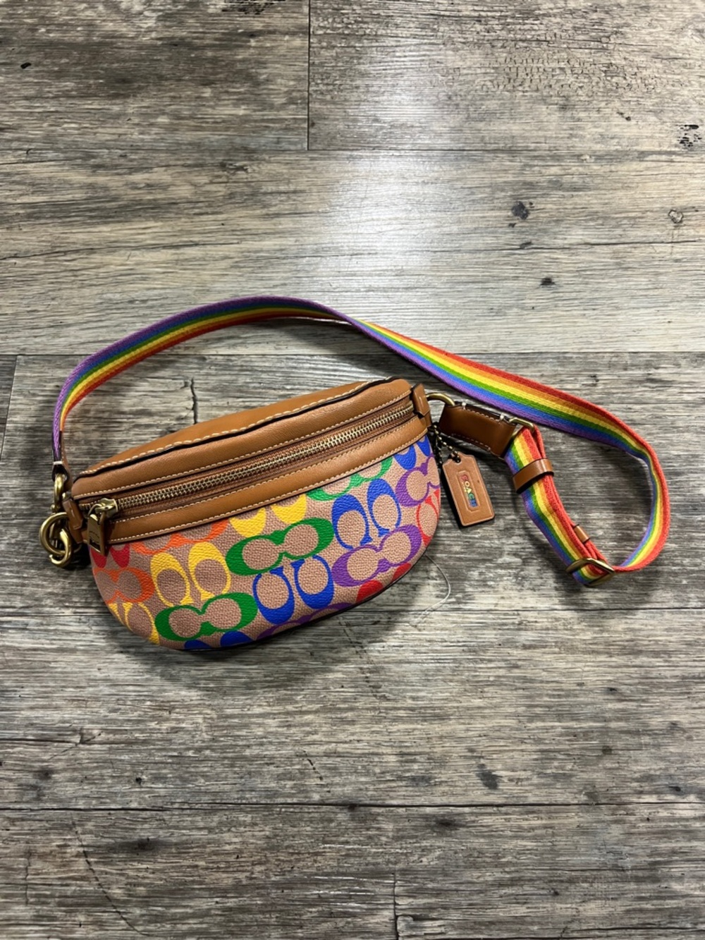 Coach Bethany Belt Bag In Rainbow Signature Canvas